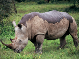 Tanzania safari holiday
